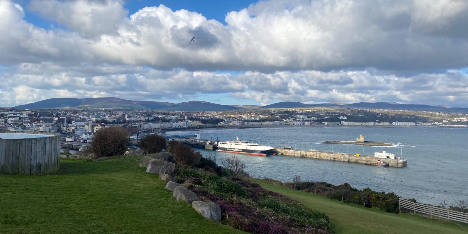 View from grassy hill of ferry vessel at the harbour, with coastline in the background and blue skies with clouds.